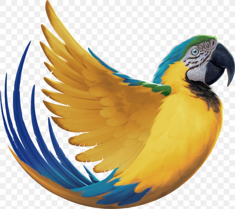 Budgerigar Bird Macaw Behance Feather, PNG, 1400x1247px, 2017, Budgerigar, Aile, Animated Film, Beak Download Free