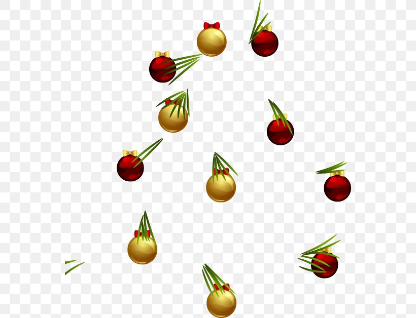 Christmas Ornament Vegetable Natural Foods Superfood Clip Art, PNG, 564x628px, Christmas Ornament, Christmas, Food, Fruit, Natural Foods Download Free