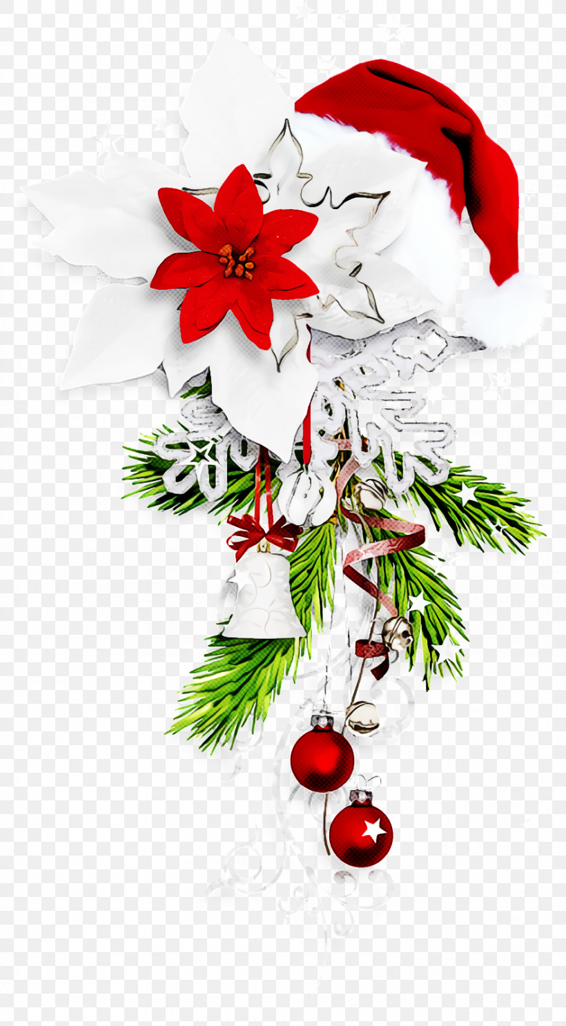 Christmas Ornaments Christmas Decoration Christmas, PNG, 882x1600px, Christmas Ornaments, Branch, Christmas, Christmas Decoration, Christmas Eve Download Free
