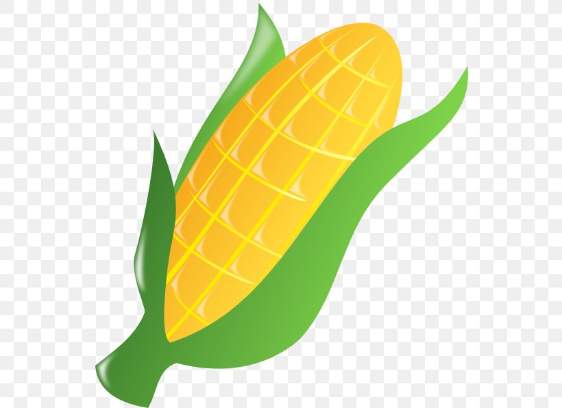 Corn On The Cob Candy Corn Popcorn Maize Clip Art, PNG, 546x596px, Corn On The Cob, Autumn, Candy Corn, Corncob, Food Download Free