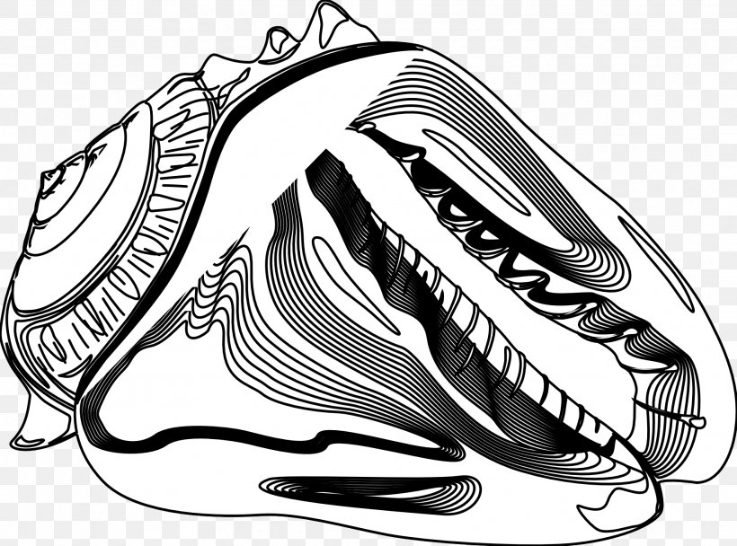 Drawing Clip Art, PNG, 1969x1461px, Drawing, Automotive Design, Black And White, Cartoon, Invertebrate Download Free