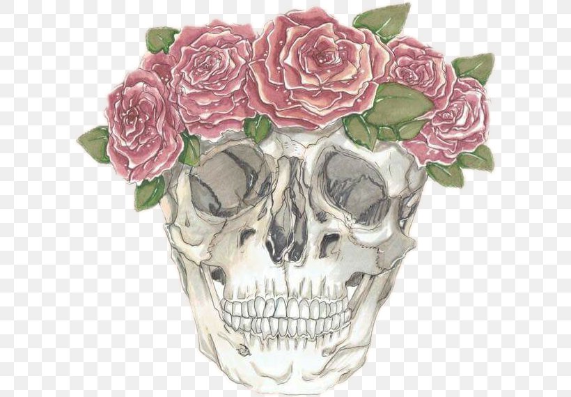 Rose, PNG, 607x570px, Pink, Bone, Cut Flowers, Flower, Flowerpot Download Free