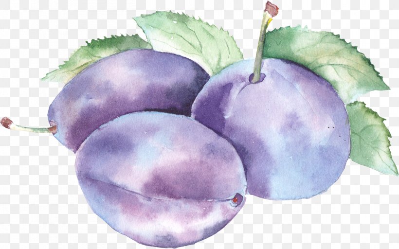 Watercolor Painting Drawing, PNG, 2808x1755px, Watercolor Painting, Apple, Color, Damson, Drawing Download Free