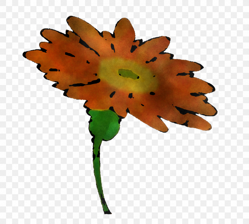 Leaf Flower Plant Stem Chrysanthemum Barberton Daisy, PNG, 1400x1260px, Leaf, Barberton Daisy, Chrysanthemum, Common Daisy, Common Sunflower Download Free