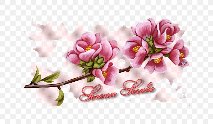 Garden Roses Flower Rosaceae Clip Art, PNG, 640x480px, Rose, Blog, Blossom, Bud, Cherry Blossom Download Free