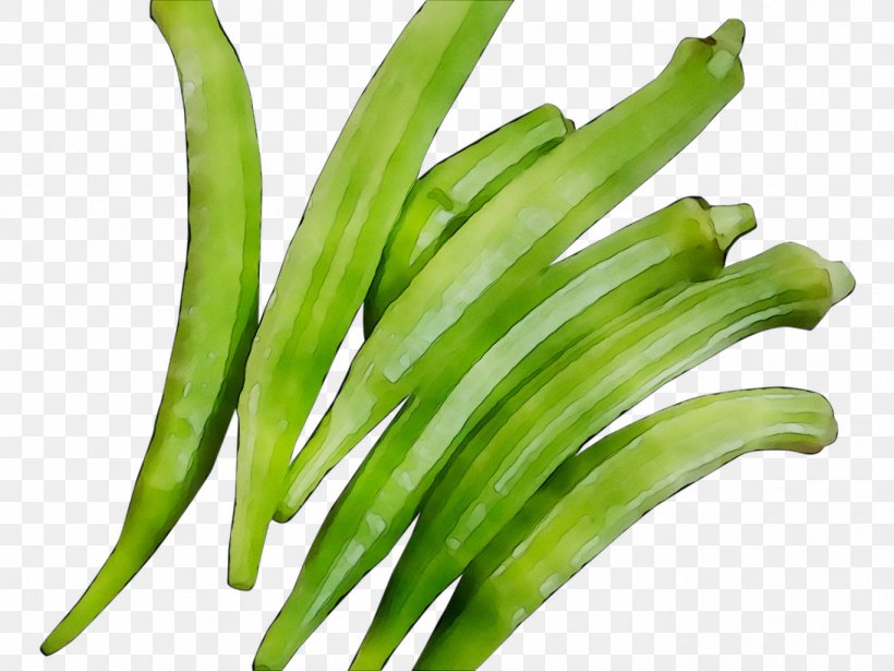Green Bean Plant Stem Okra Commodity Scallion, PNG, 1368x1026px, Green Bean, Commodity, Flowering Plant, Food, Ingredient Download Free