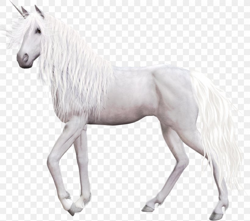 Akhal-Teke Unicorn Pegasus, PNG, 1200x1059px, Akhalteke, Animal, Animal Figure, Black And White, Computer Software Download Free