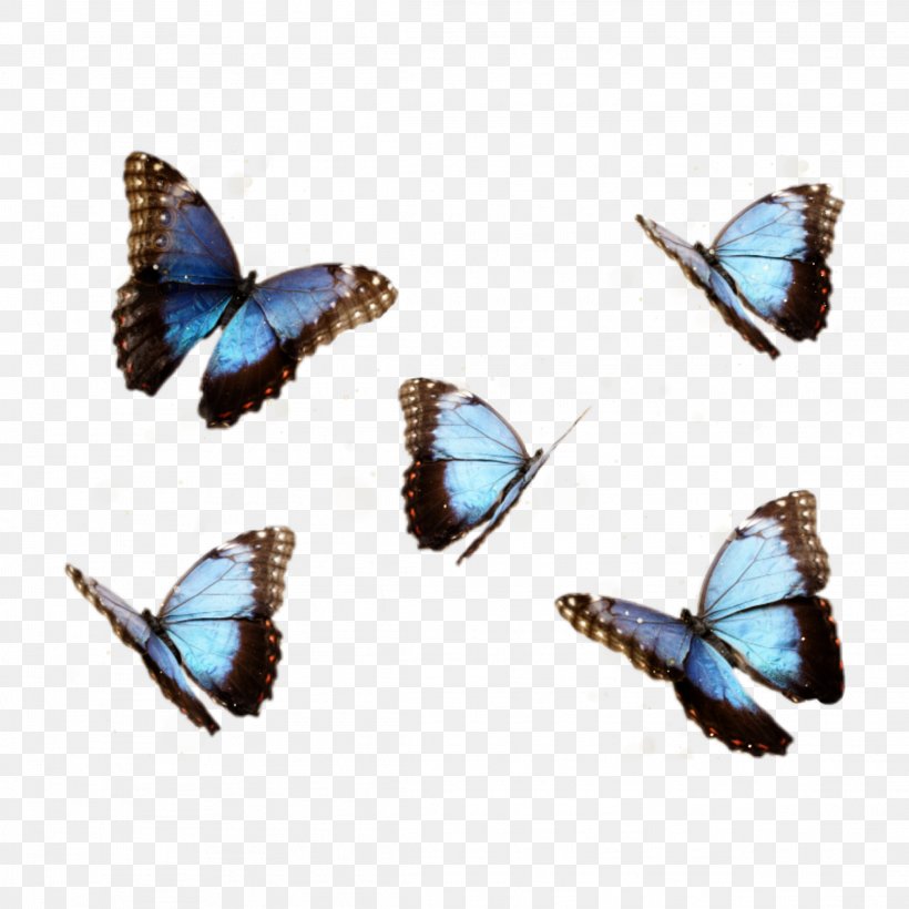 Butterfly Menelaus Blue Morpho Insect, PNG, 2289x2289px, Butterfly, Blue, Blue Morpho, Brush Footed Butterfly, Butterflies And Moths Download Free