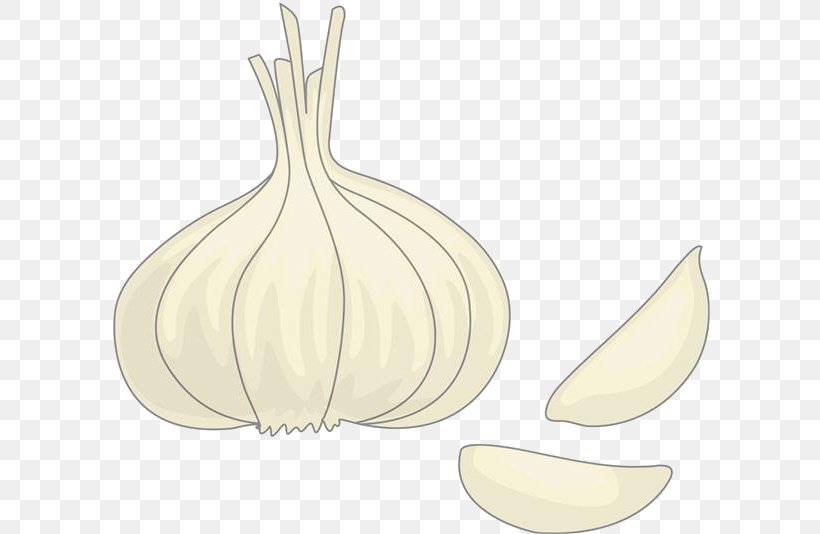 Garlic Drawing Onion, PNG, 600x534px, Garlic, Cartoon, Condiment, Drawing, Food Download Free
