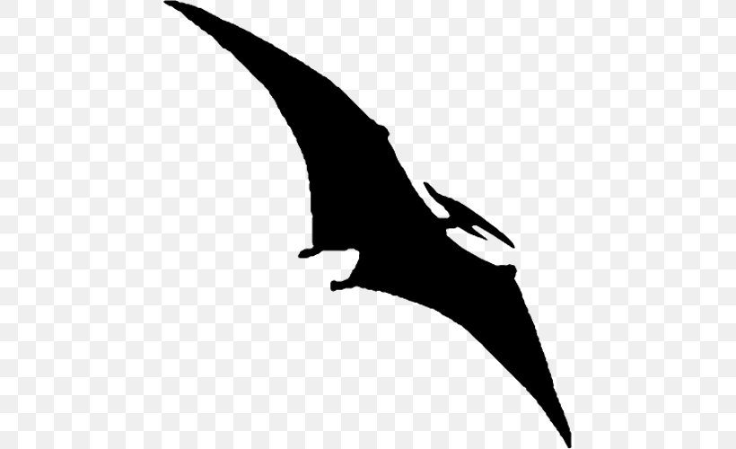 Pterodactyls Pterosaurs Quetzalcoatlus Triceratops Clip Art, PNG, 457x500px, Pterodactyls, Apatosaurus, Art, Beak, Black And White Download Free