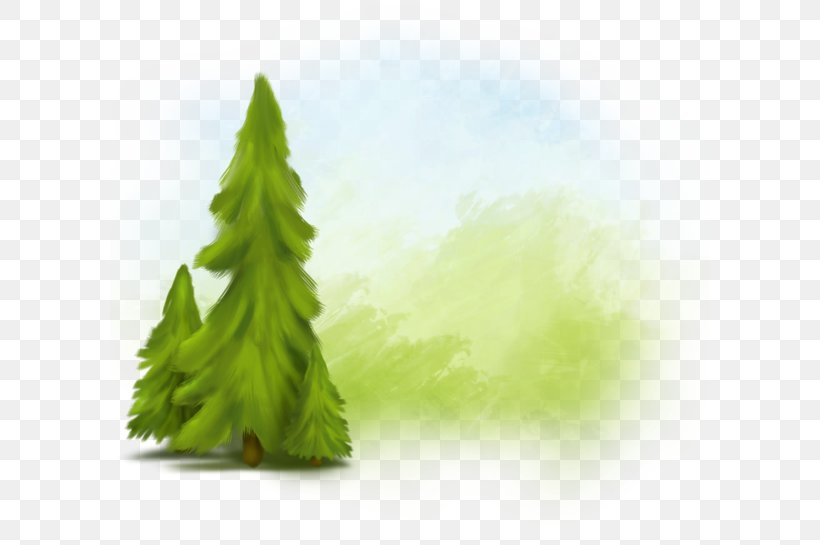Tree Green Download, PNG, 600x545px, Tree, Advertising, Alternative Medicine, Conifer, Conifers Download Free