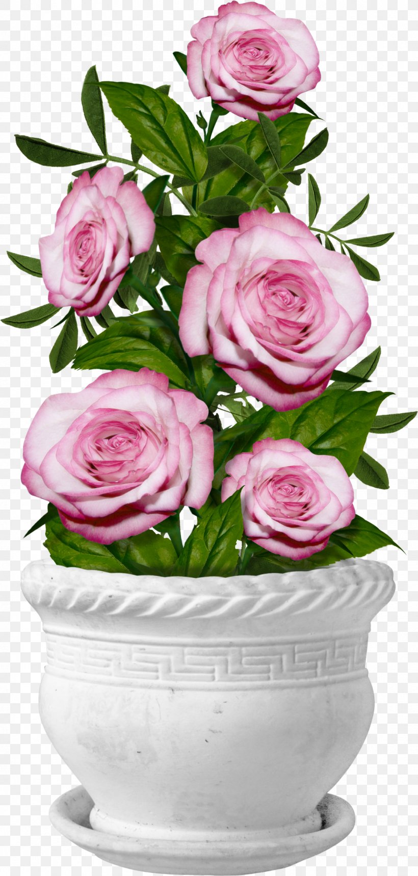 Garden Roses Centifolia Roses Flower Clip Art, PNG, 1097x2300px, Garden Roses, Centifolia Roses, Cut Flowers, Fairy, Floral Design Download Free