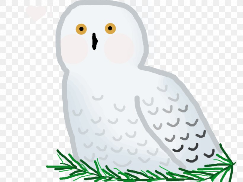 Owl Beak Bird Clip Art, PNG, 900x675px, Owl, Beak, Bird, Bird Of Prey, Character Download Free