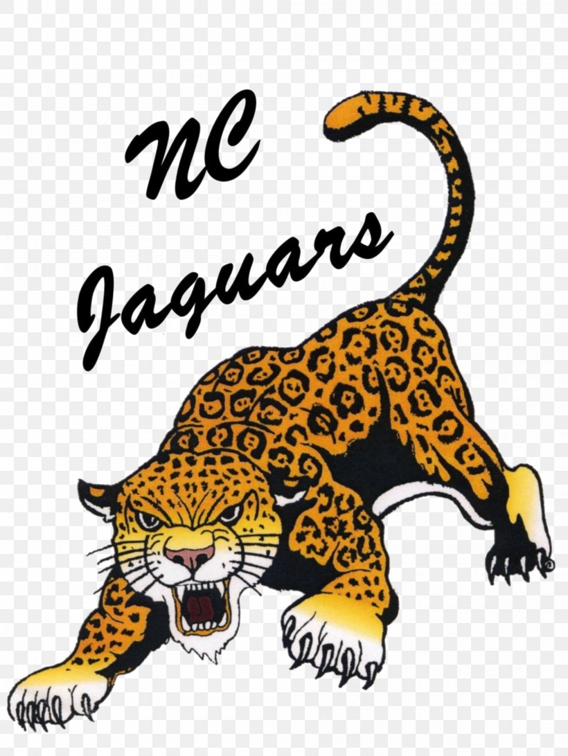 Tiger Jacksonville Jaguars Northern Cass Middle School Clip Art, PNG, 2000x2665px, Tiger, Animal Figure, Big Cats, Carnivoran, Cat Like Mammal Download Free