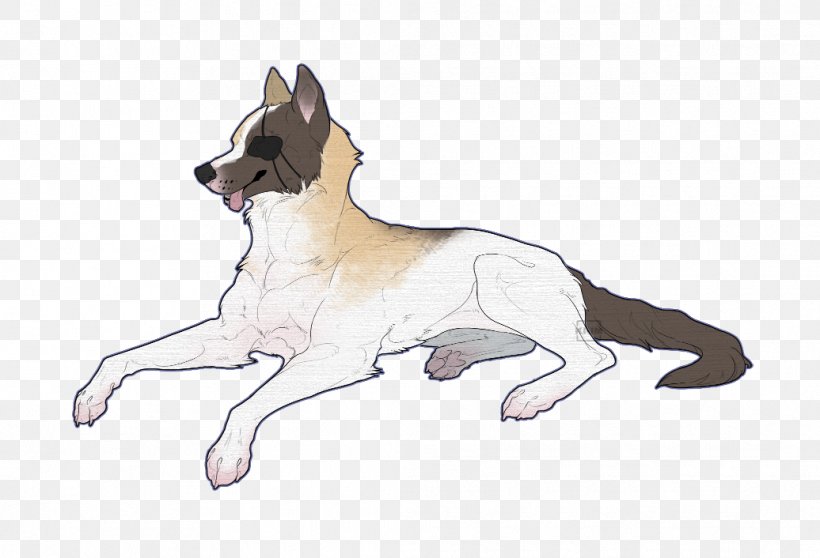 Dog Breed Canaan Dog /m/02csf Drawing, PNG, 1036x706px, Dog Breed, Breed, Canaan Dog, Carnivoran, Dog Download Free