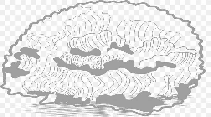 Download Brain, PNG, 3556x1977px, Black And White, Drawing, Illustration, Monochrome, Monochrome Photography Download Free