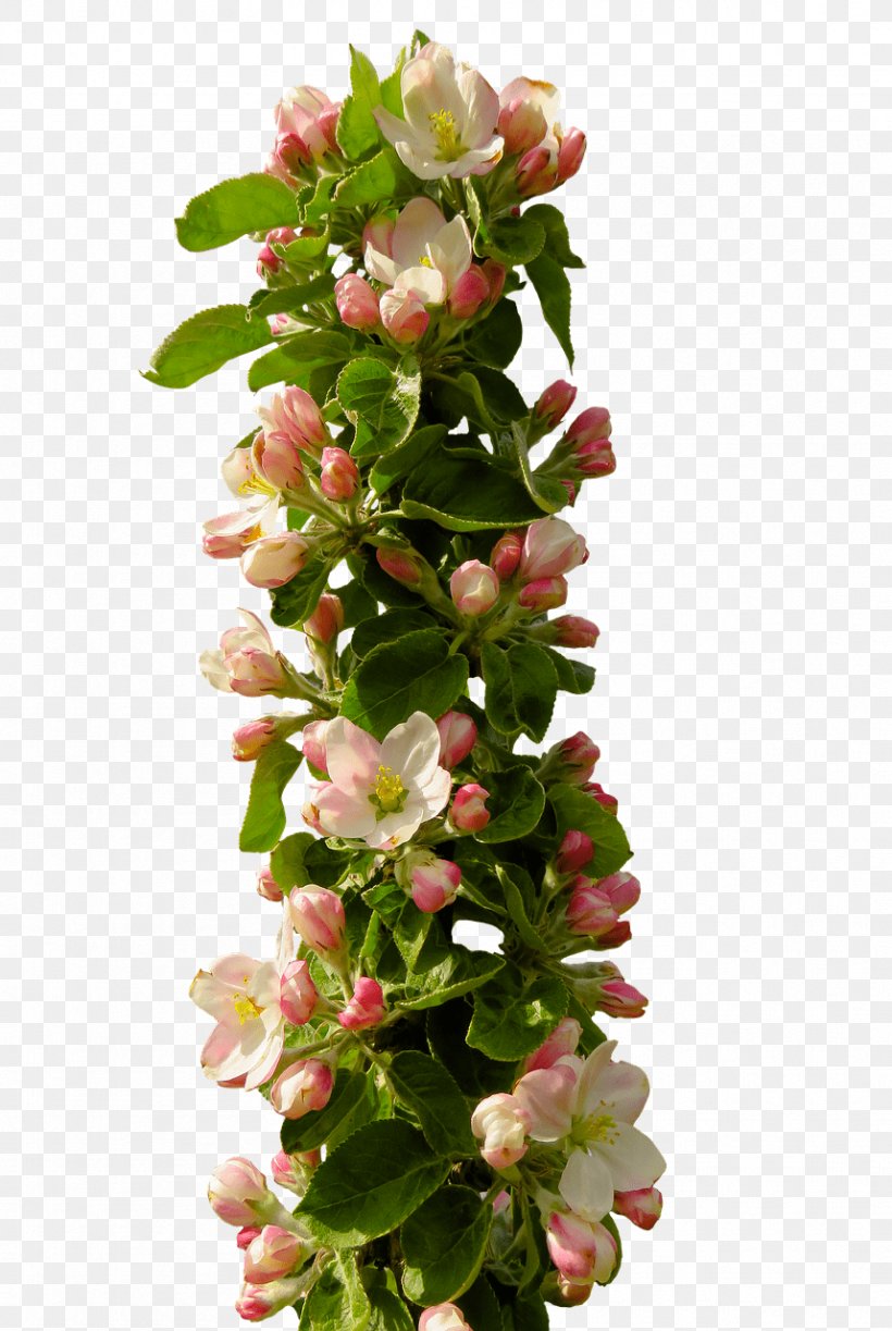 Floral Design Blossom, PNG, 858x1280px, Floral Design, Artificial Flower, Blossom, Cut Flowers, Flower Download Free