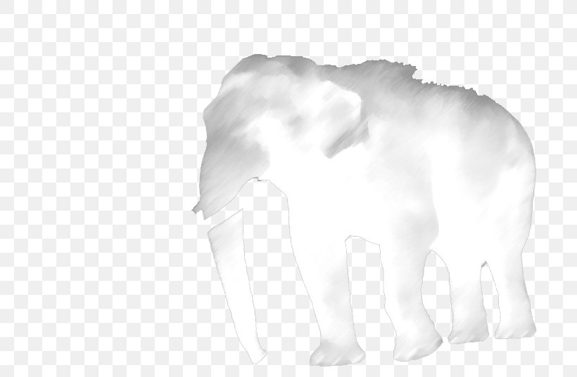 Indian Elephant African Elephant Dog White Canidae, PNG, 800x537px, Indian Elephant, African Elephant, Black, Black And White, Canidae Download Free
