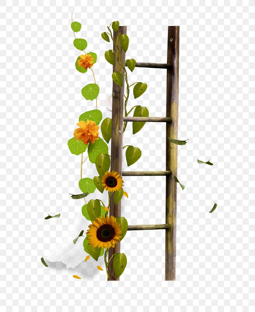 Ladder Stairs Sticker Clip Art, PNG, 678x1000px, Ladder, Branch, Flora, Floral Design, Floristry Download Free