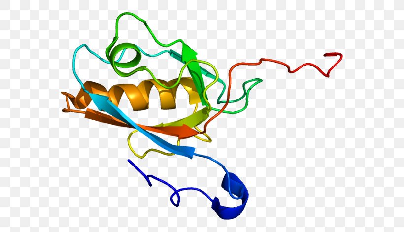 USH1C Usher 1C Protein Gene PDZ Domain, PNG, 623x471px, Protein, Area, Artwork, Biology, Exome Sequencing Download Free