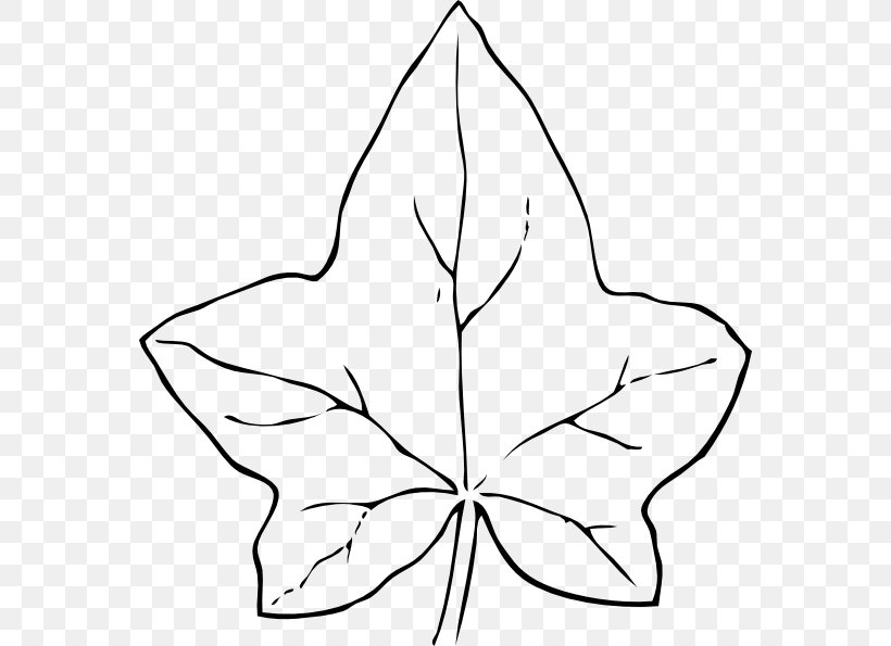 Autumn Leaf Color Coloring Book, PNG, 564x595px, Autumn Leaf Color, Adult, Area, Autumn, Black And White Download Free