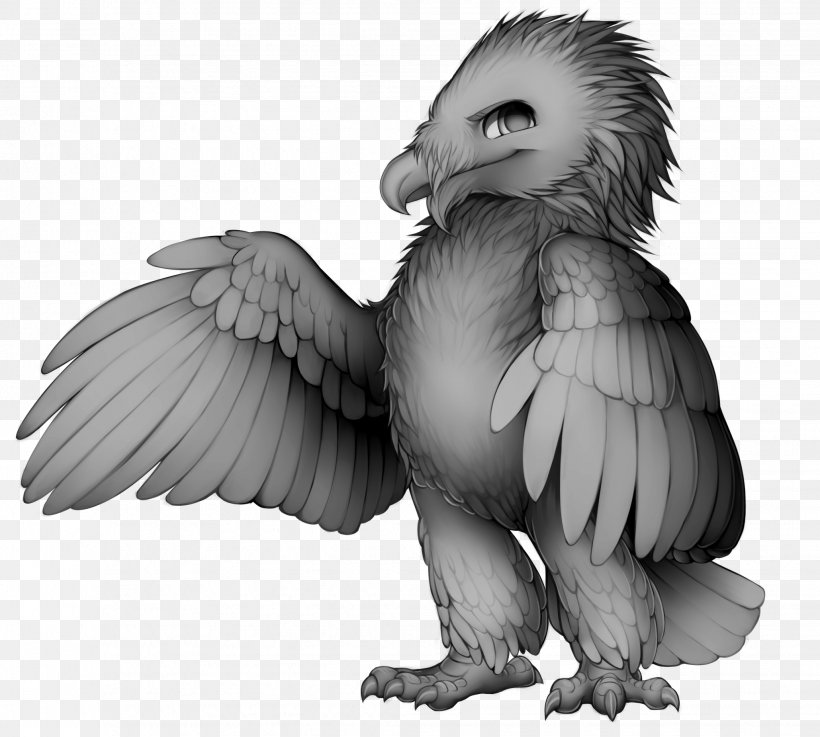 Bird Of Prey Beak Bald Eagle Owl, PNG, 2059x1852px, Bird, Animal, Bald Eagle, Barn Owl, Beak Download Free