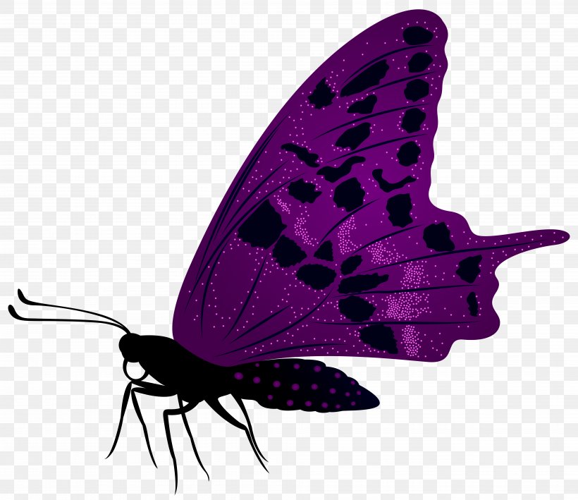 Butterfly Purple Clip Art, PNG, 7917x6851px, Butterfly, Arthropod, Brush Footed Butterfly, Butterflies And Moths, Color Download Free