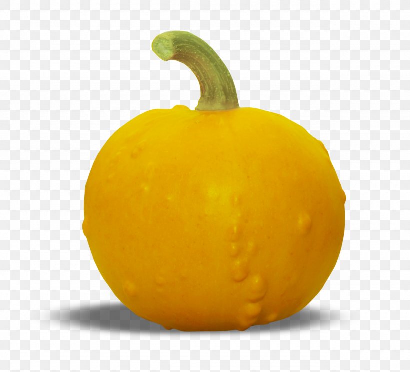 Pumpkin Gourd Calabaza Winter Squash, PNG, 1280x1161px, Pumpkin, Accessory Fruit, Bell Peppers And Chili Peppers, Calabaza, Cucurbita Download Free
