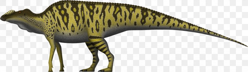Tyrannosaurus Allosaurus Hadrosaurus Edmontosaurus Annectens Mosasaurus, PNG, 1650x483px, Tyrannosaurus, Allosaurus, Animal Figure, Beak, Dinosaur Download Free