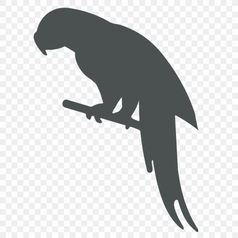 Parrot Bird Silhouette Clip Art, PNG, 833x833px, Parrot, Beak, Bird, Black And White, Dinosaur Download Free