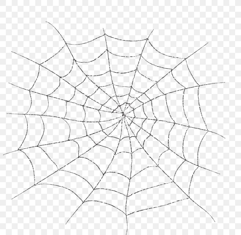 Spider Web Clip Art Line Geometry, PNG, 800x800px, Spider Web, Area, Artwork, Black And White, Drawing Download Free