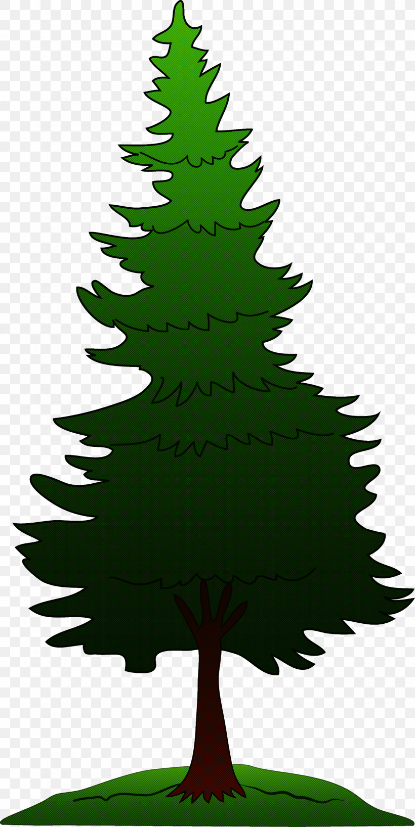 Christmas Tree, PNG, 1503x3000px, Tree, Christmas Tree, Colorado Spruce, Leaf, Lodgepole Pine Download Free