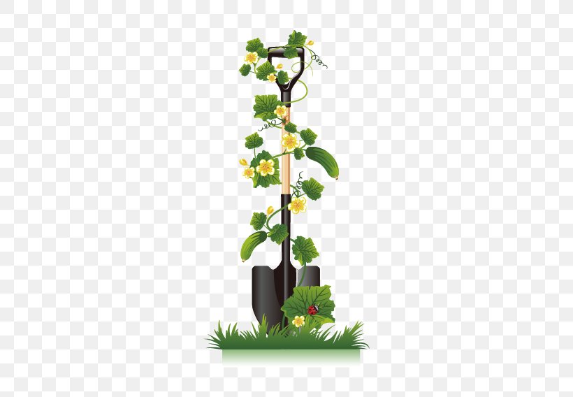 Cucumber Vine Clip Art, PNG, 709x568px, Cucumber, Branch, Flora, Flower, Flowering Plant Download Free