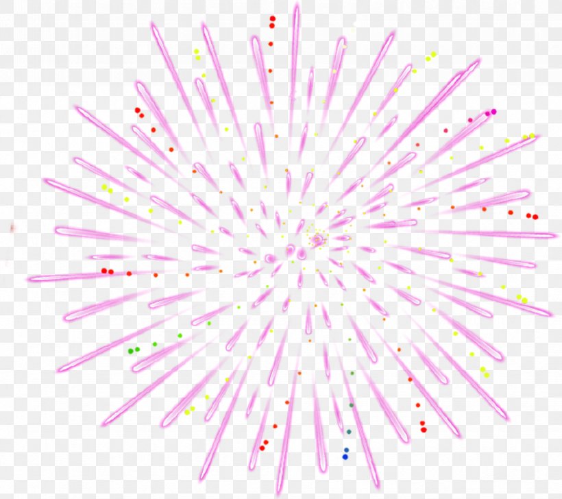 Fireworks Pink, PNG, 845x751px, Fireworks, Designer, Fire, Firecracker, Flower Download Free