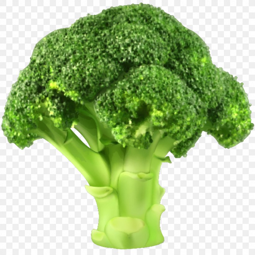 Broccoli Slaw Vegetable Clip Art, PNG, 1024x1024px, Broccoli, Broccoli Slaw, Cabbage, Flowerpot, Food Download Free