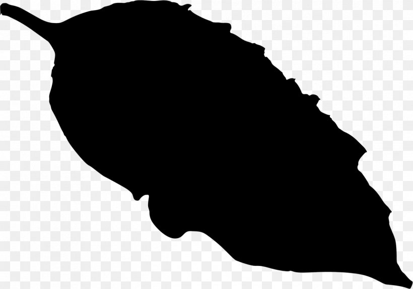 Clip Art Leaf Silhouette Black M, PNG, 1266x888px, Leaf, Black, Black M, Blackandwhite, Silhouette Download Free
