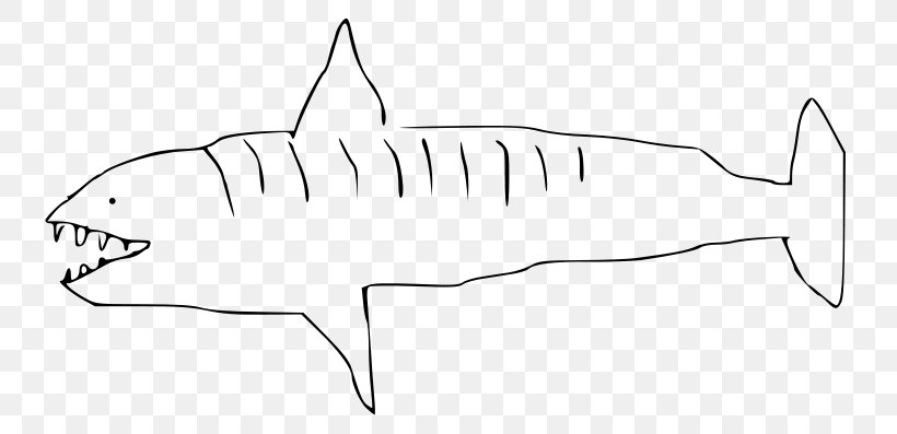 Tiger Shark Wikimedia Commons Wikimedia Foundation Drawing Clip Art, PNG, 800x397px, Tiger Shark, Area, Artwork, Black And White, Cartilaginous Fish Download Free