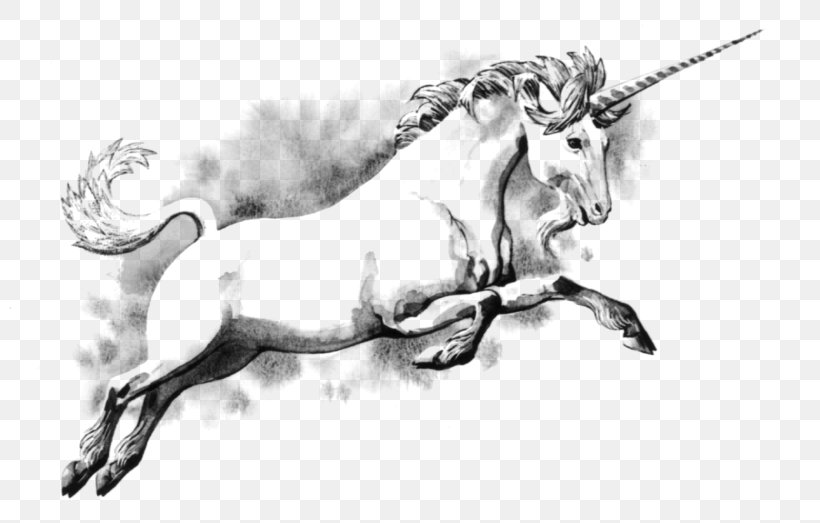 Unicorn Legendary Creature Scotland Fairy Tale Drawing, PNG, 800x523px, Unicorn, Art, Being, Black And White, Book Download Free