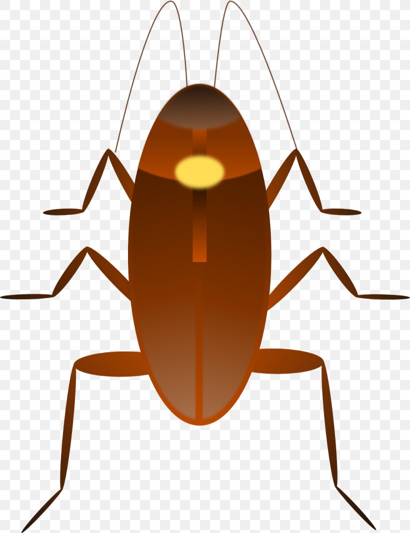 Dr. Cockroach Clip Art, PNG, 1230x1600px, Cockroach, American Cockroach, Arthropod, Dr Cockroach, Insect Download Free