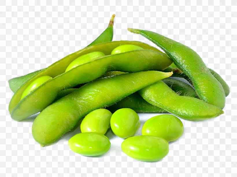 Edamame Japanese Cuisine Soy Milk Vegetarian Cuisine Soybean, PNG, 865x647px, Edamame, Appetizer, Bean, Broad Bean, Commodity Download Free
