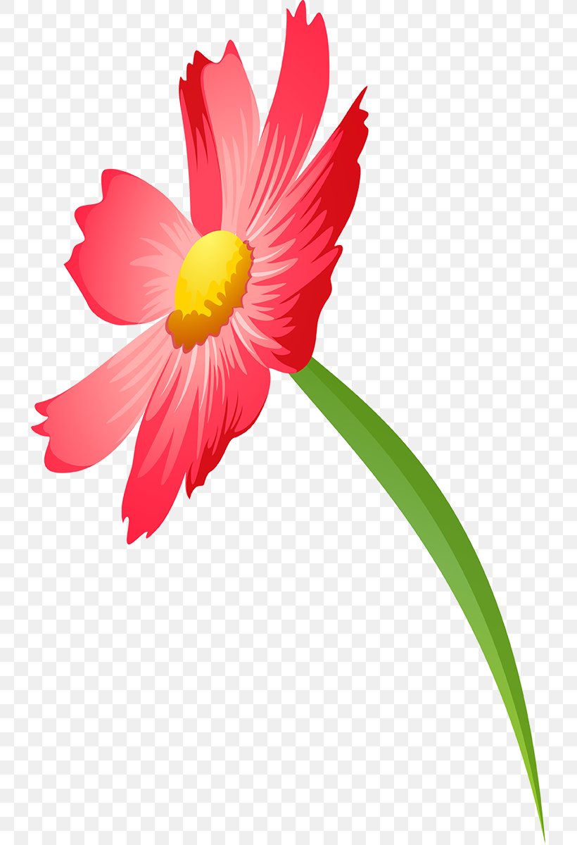 File Format Clip Art Cosmos Cut Flowers, PNG, 731x1200px, Cosmos, Community, Cut Flowers, Daisy Family, Family Download Free
