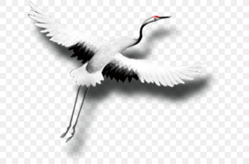 Red-crowned Crane China, PNG, 789x540px, Crane, Beak, Bird, Black And White, China Download Free