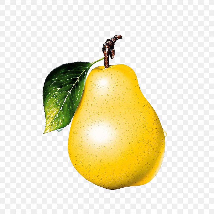 Asian Pear Macintosh Fruit Clip Art, PNG, 2953x2953px, Asian Pear, Apple, Citrus, Desktop Computer, Display Resolution Download Free