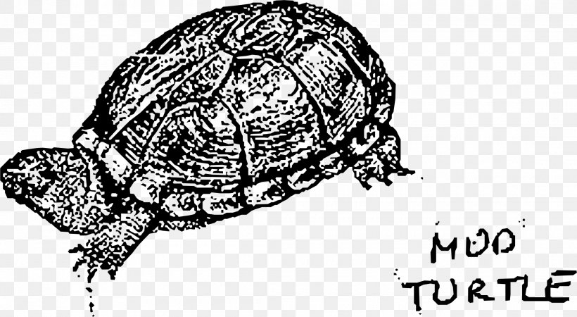 Box Turtle Reptile Tortoise Sea Turtle, PNG, 2220x1219px, Turtle, Animal, Black And White, Bog Turtle, Box Turtle Download Free
