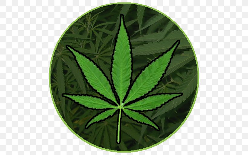 Cannabis Smoking Medical Cannabis Dispensary, PNG, 512x512px, Cannabis, Android, Cannabis Smoking, Decal, Dispensary Download Free