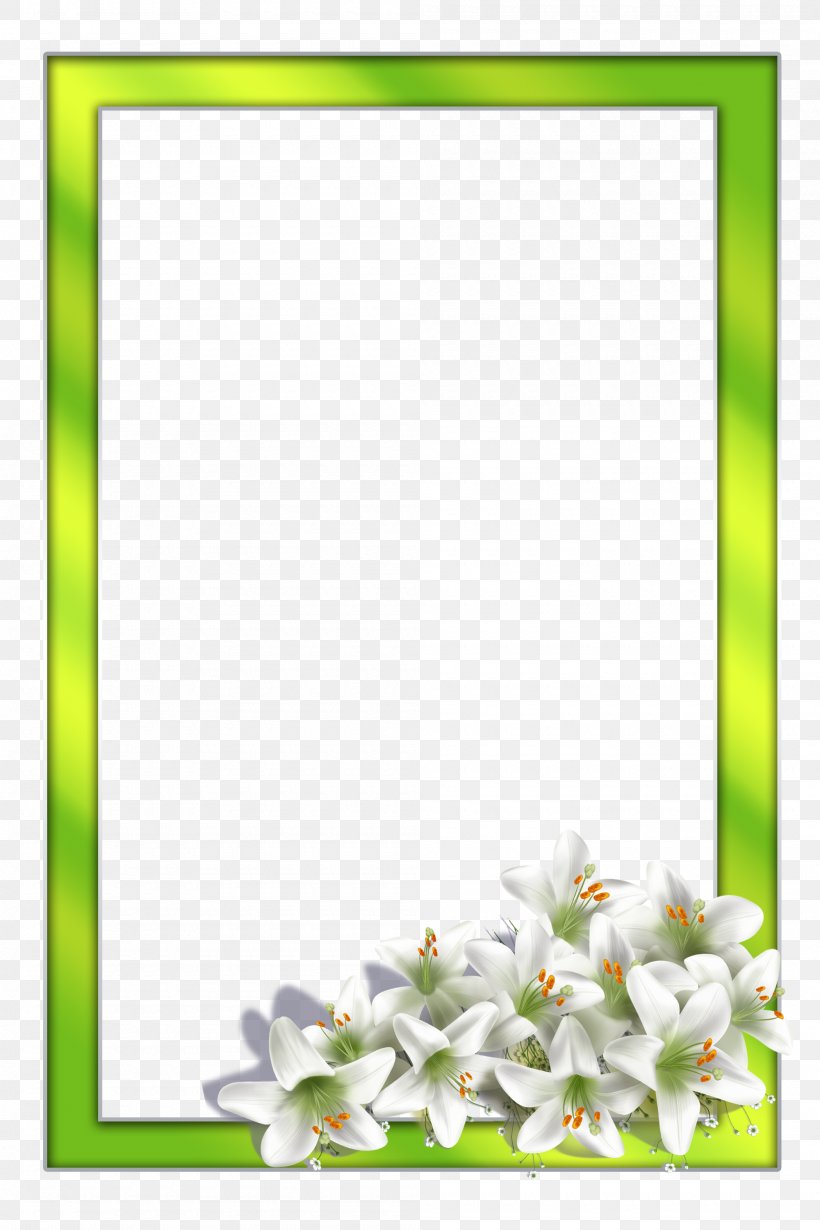 Floral Design Cut Flowers, PNG, 2000x3000px, Floral Design, Adobe Systems, Advertising, Blossom, Border Download Free