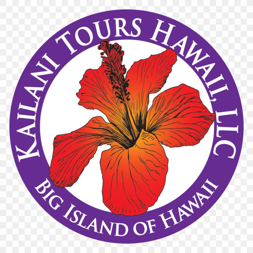 Mauna Kea Mauna Loa Kīlauea Kailani Tours Hawaii Volcano, PNG, 1000x1000px, Mauna Loa, Business, Cut Flowers, Flower, Flowering Plant Download Free