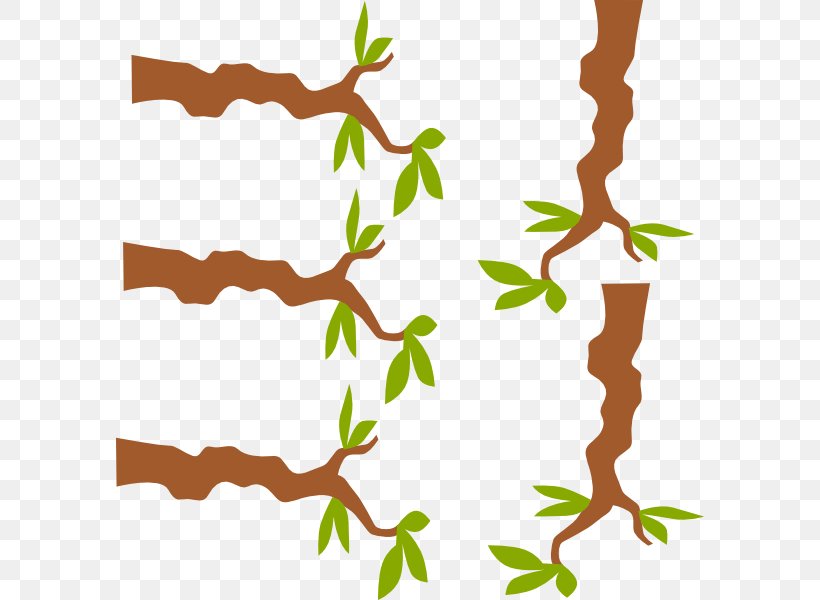 Branch Tree Clip Art, PNG, 588x600px, Branch, Art, Artwork, Drawing, Flora Download Free