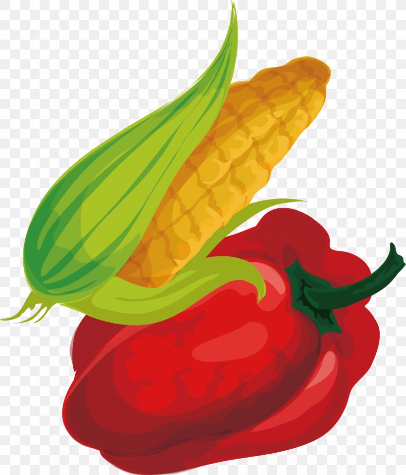 Chili Pepper Cartoon Maize Drawing, PNG, 1181x1384px, Chili Pepper, Animation, Bell Pepper, Bell Peppers And Chili Peppers, Cartoon Download Free