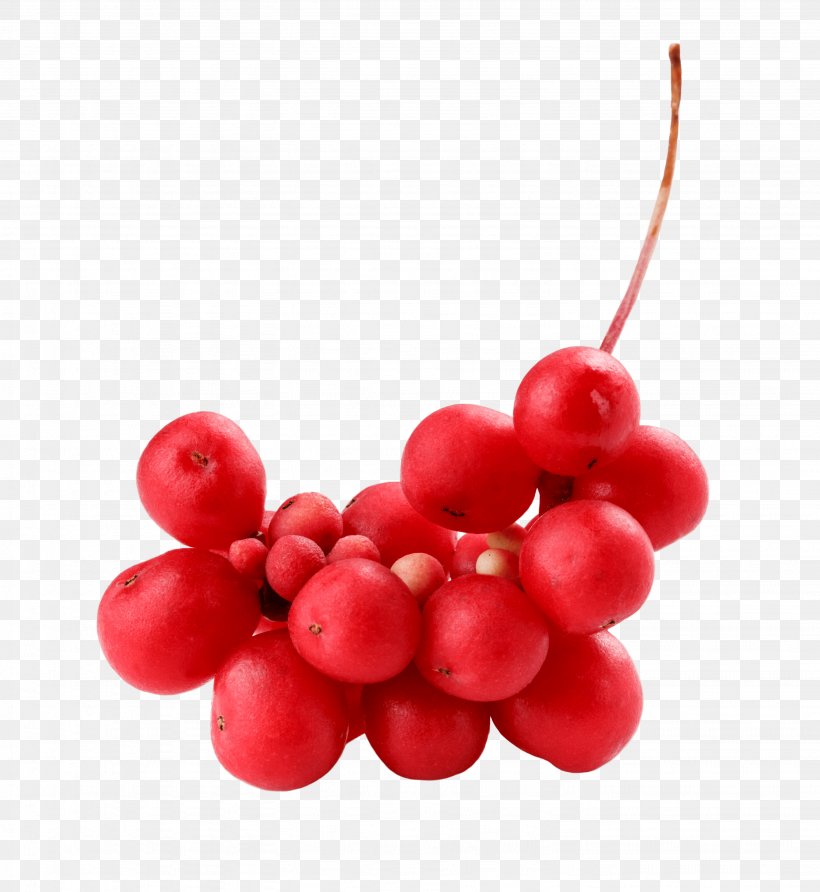 Cranberry Five-flavor Berry Zante Currant, PNG, 2874x3129px, Cranberry, Berry, Depression, Fiveflavor Berry, Food Download Free